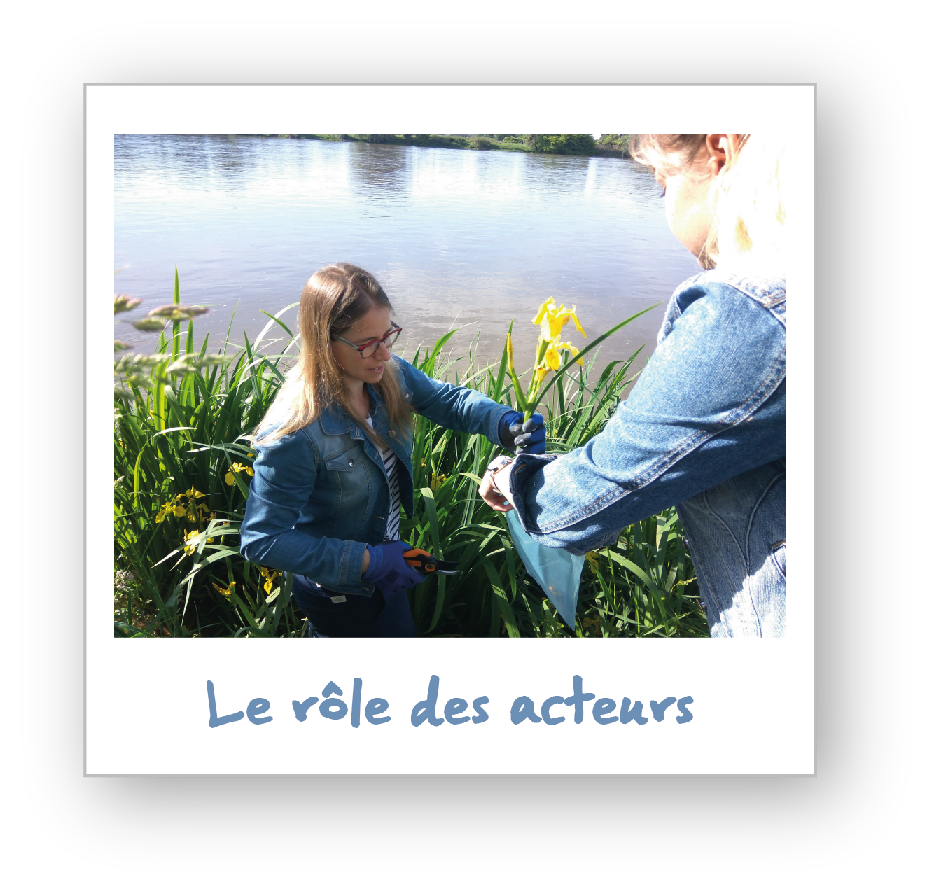 Rôle des acteurs