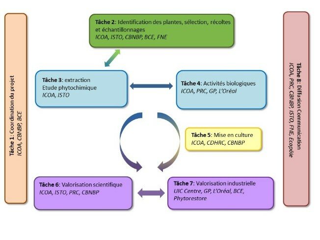 organisation partenariat locaflore, VALBIODIV CVL, biodiversité végétale
