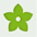 Plantes vasculaires